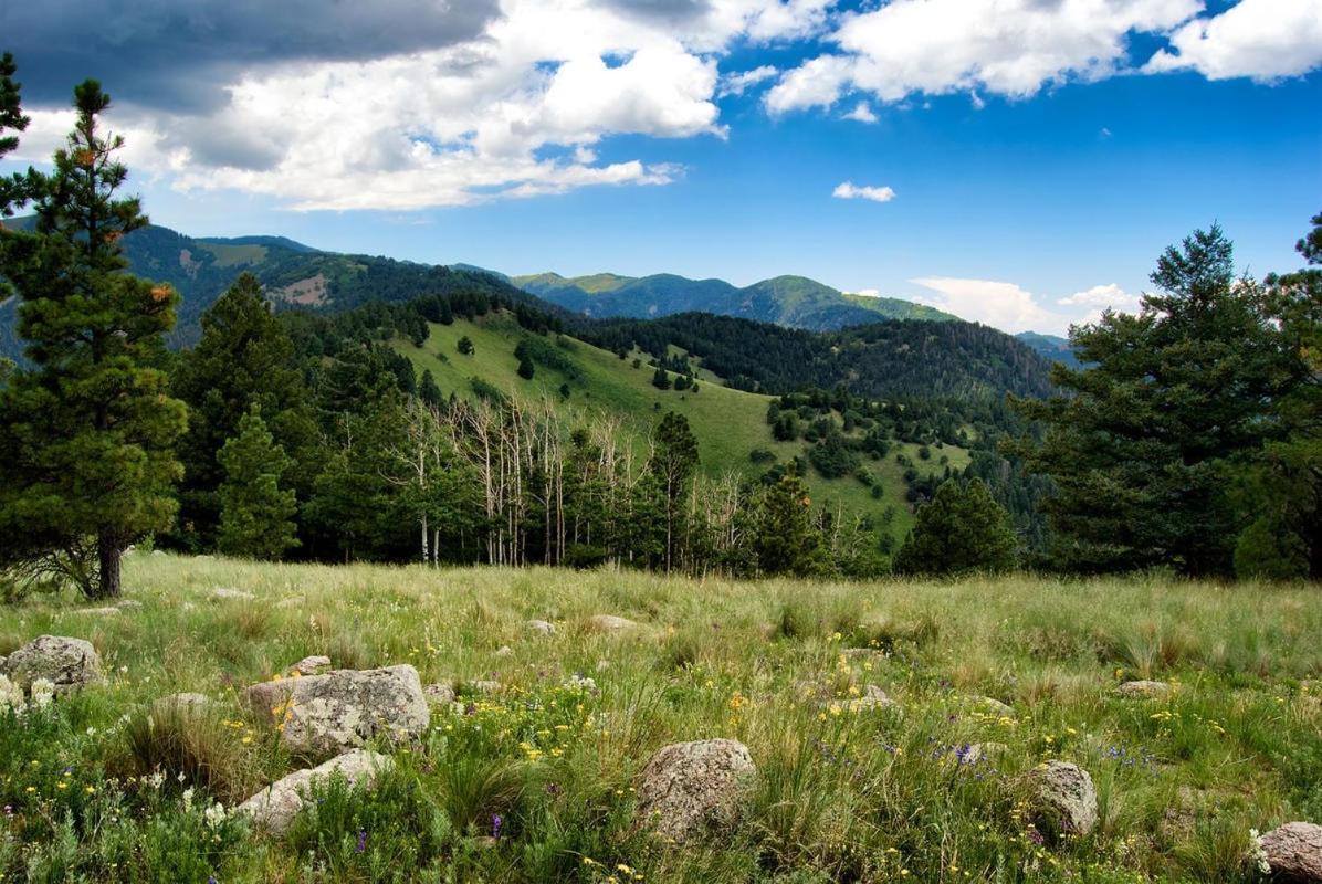 Vila Oso Blanco Ruidoso Exteriér fotografie